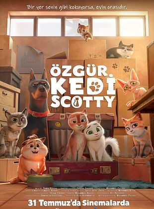 vizyondaki film fragman ozgur-kedi-scotty-posteri posteri